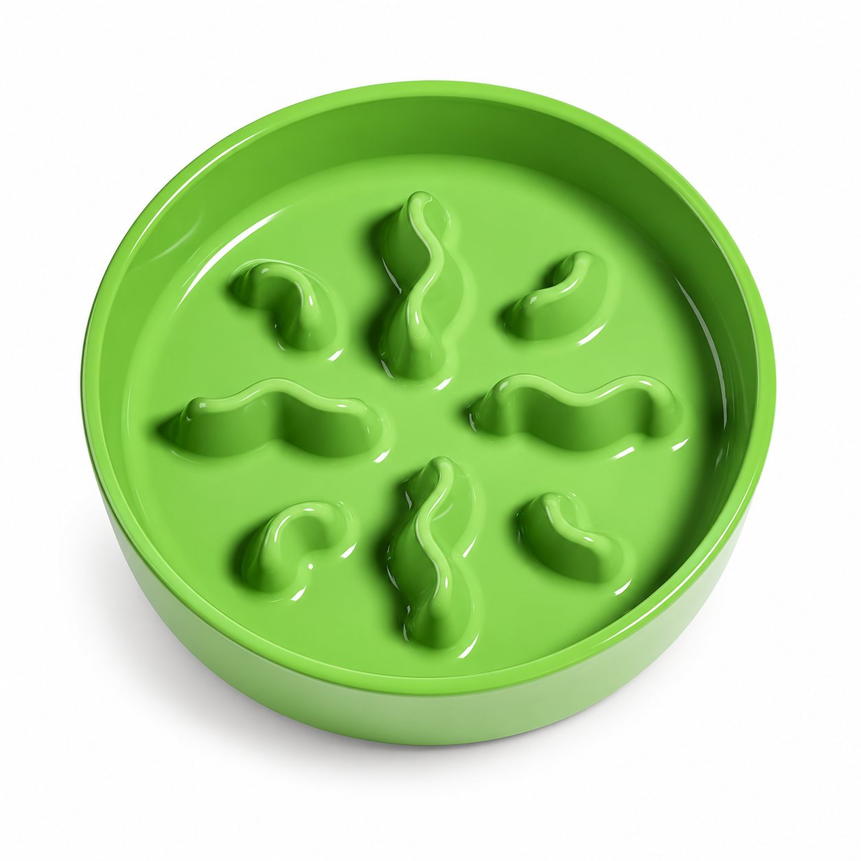 Ceramic Slow Feeder Bowl